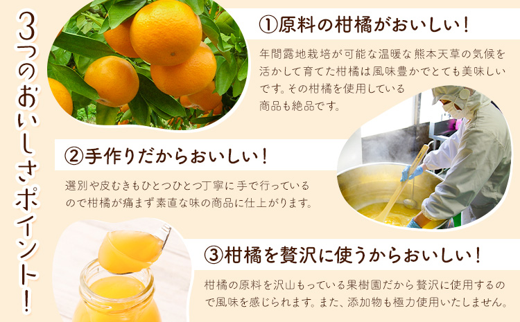 まるごとぎゅーっとゼリー 100g × 8本 | 《90日以内に出荷予定(土日祝除く)》 フルーツ 果物 くだもの ゼリー フルーツゼリー 果物ゼリー くだものゼリー みかんゼリー ミカンゼリー みかん ミカン 不知火 清見 ポンカン あまくさ晩柑 みかん ブレンド 熊本県 苓北町 株式会社 山下果樹園---reihoku_ysk_1_800g---
