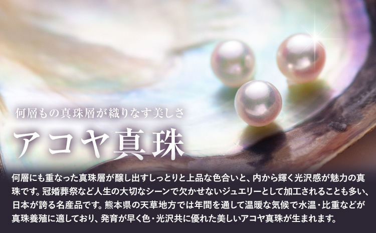 真珠 ナチュラルパール 8.0mm ネックレス40cm（SV） 有限会社 苓北真珠《90日以内に出荷予定(土日祝除く)》 貝 真珠 パール 天然 ネックレス アクセサリー 熊本県 苓北町 ---reihoku_rhs_1_1p---