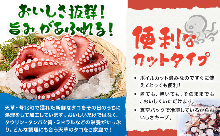 天草産 タコ ボイルカット 合計500g 高橋商店《30日以内に出荷予定(土日祝除く)》タコ 蛸 冷凍 カット済 小分けパック ボイル お刺身 たこ飯 たこ焼き ぶたあえ タコパ 唐揚げ 酢の物 国産 天草 苓北 熊本 送料無料【配送不可地域あり】---j01r605---