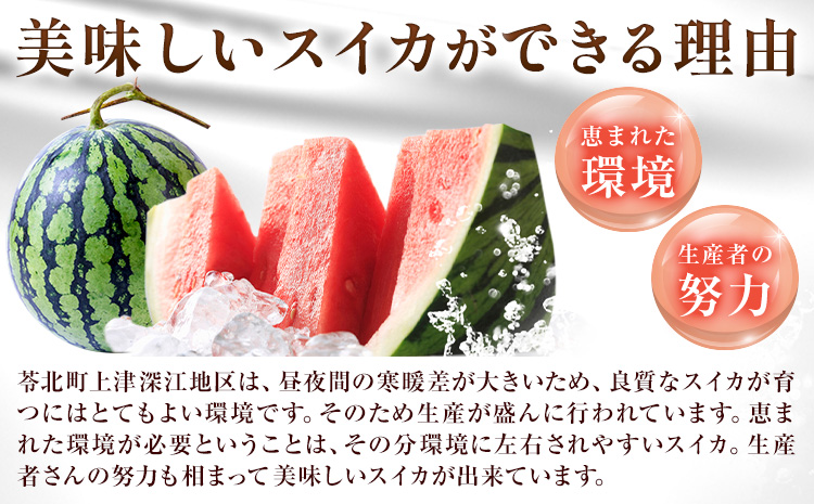 【先行予約】天草産上津深江 スイカ 1玉 髙橋商店 《2026年6月末-8月中旬頃出荷》熊本県 苓北町 フルーツ 果物 くだもの スイカ すいか 西瓜 盆すいか 上津深江スイカ---reihoku_ths_13_1p---