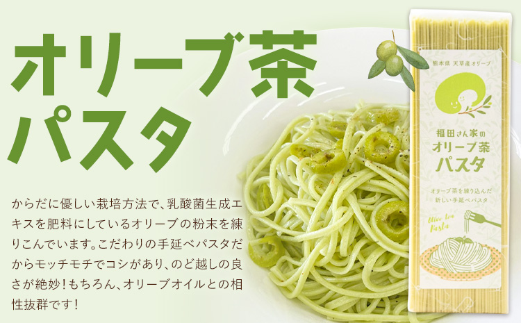 オリーブ 茶 パスタ 3袋 セット 福田さん家のオリーブ園。《30日以内に出荷予定(土日祝除く)》手延べ 麺  冷麺 サラスパ 茹で 塩 不要 乳酸菌 天草 苓北 熊本 送料無料 ---reihoku_hdo_3_3p---