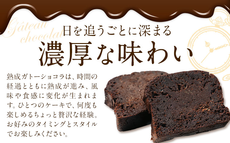菓子 ケーキ ガトーショコラ 1本 洋菓子店Hana《30日以内に出荷予定(土日祝除く)》 熊本県 苓北町 チョコレートケーキ 天草 苓北 熊本 送料無料---reihoku_yhn_2_1p---