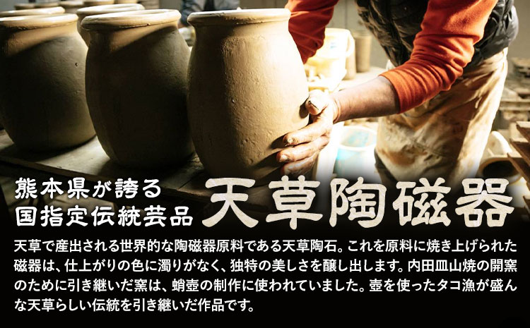 インテリア 蛸壺 有限会社 木山陶石鉱業所《30日以内に出荷予定(土日祝除く)》植木鉢 花瓶 和室 窯元 西海岸 陶器市 陶磁器展 花壇 庭 新築祝い 天草 苓北 熊本 送料無料---reihoku_kyt_2_2p---