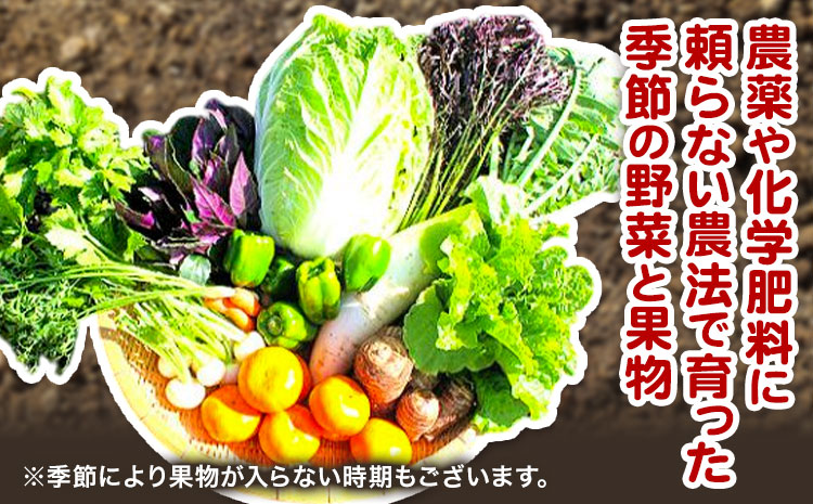 野菜 果物 詰め合わせ 自然栽培 福田果樹園 旬 セット 天草 苓北 熊本 送料無料《90日以内に出荷予定(土日祝除く)》熊本県 苓北町 ---t01r605---