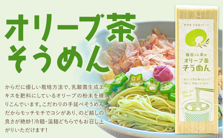 オリーブ 茶 そうめん 3袋 セット 福田さん家のオリーブ園。《30日以内に出荷予定(土日祝除く)》手延べ 麺  農薬 不使用 乳酸菌 天草 苓北 熊本 送料無料 ---reihoku_hdo_4_3p---