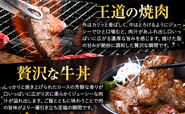 A4-A5等級 黒毛和牛 切り落とし 上 ロース 焼肉 切り落とし 900g《30日以内に出荷予定(土日祝除く)》くまもと黒毛和牛 熊本県 苓北町 上ロース 焼肉用 黒毛和牛 焼肉 肉 お肉 和牛 A5 A4 リブロース サーロイン---reihoku_loc_13_900g---