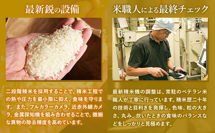 令和7年産 新米 無洗米 こしひかり 5kg《7-14日以内に出荷予定(土日祝除く)》熊本県産 ふるさと納税 無洗米 ひの 米 こめ ふるさとのうぜい コシヒカリ コメ お米 おこめ---reihoku_loc_296_5kg---