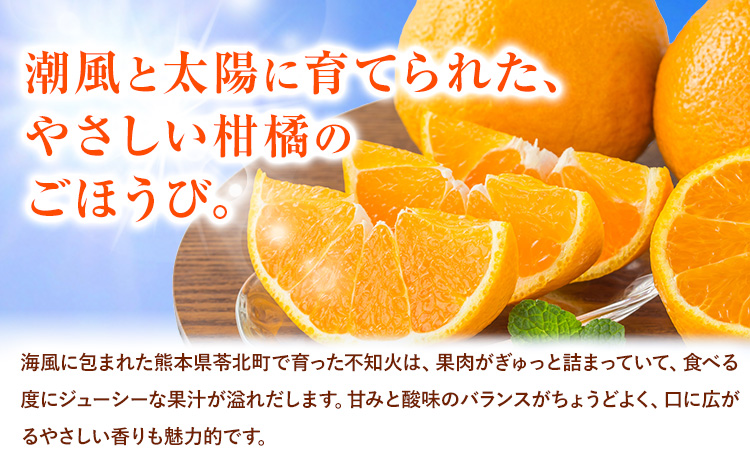 先行予約 みかん 不知火 3kg 高橋商店《2026年1月下旬-5月中旬頃出荷》熊本県 苓北町 柑橘 かんきつ 果物 フルーツ しらぬい 送料無料---reihoku_ths_14_3kg---