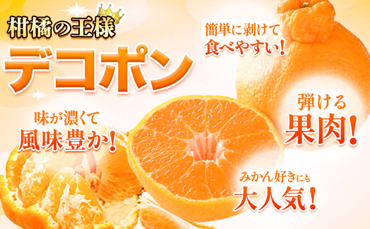 【先行予約】デコポン ご家庭用 デコポン 約2kg 前後 (約4-10玉前後) 糖度13度以上 訳あり デコポン 《2026年2月上旬-4月末頃出荷》 個別光センサー選果 みかん 柑橘 フルーツ 旬 不知火 でこぽん 期間限定 厳選---reihoku_loc_14_2kg---