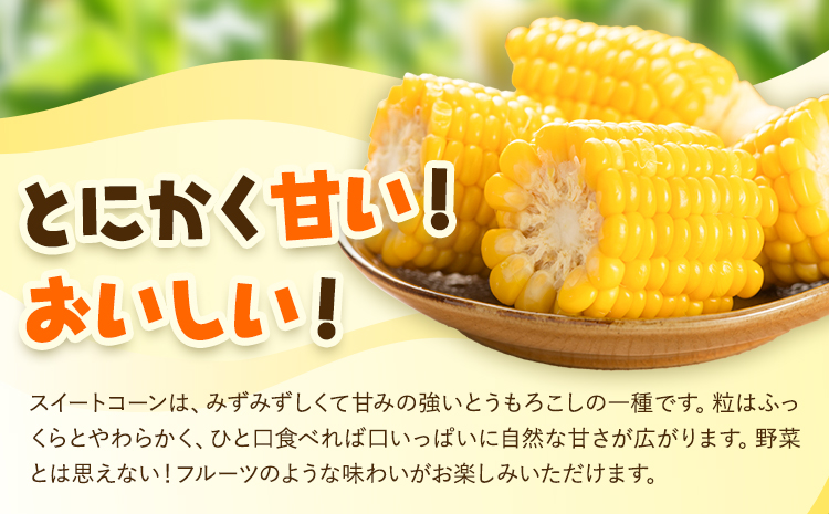とうもろこし スイートコーン 10本 髙橋商店《2026年5月中旬-6月下旬頃出荷》熊本県 苓北町 野菜 コーン 玉蜀黍 コーンバター 焼きとうもろこし コーンスープ---reihoku_ths_6_10p---