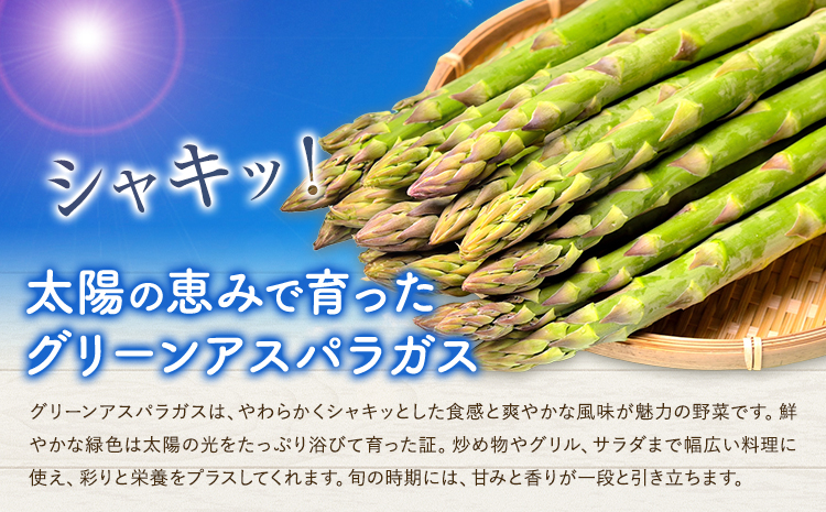 アスパラガス グリーン 春アスパラ 1束 100g 10束 髙橋商店《2月下旬-4月下旬》熊本県 苓北町 野菜 アスパラ アスパラベーコン---reihoku_ths_7_10psyuka2_4---