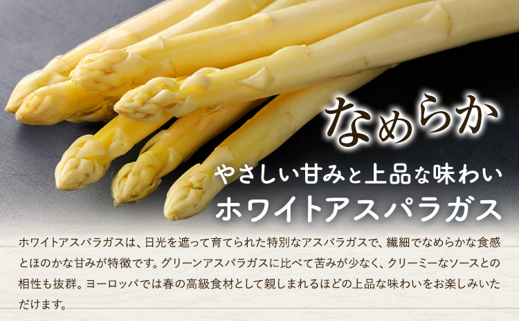 アスパラガス ホワイト 春アスパラ 1束 100g 10束 髙橋商店《2月下旬-3月下旬》熊本県 苓北町 野菜 アスパラ アスパラベーコン---reihoku_ths_8_10p---