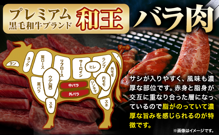 くまもと黒毛和牛 和王 バラ 霜降り 焼肉切り落とし 550g A5 A4 等級《30日以内に出荷予定(土日祝除く)》熊本県 苓北町 黒毛和牛 牛肉 冷凍 個別 取分け 小分け チャック付き バラ凍結 肉 お肉 焼き肉 焼き肉用---rh_fwow_30d_r7_12000_550g---