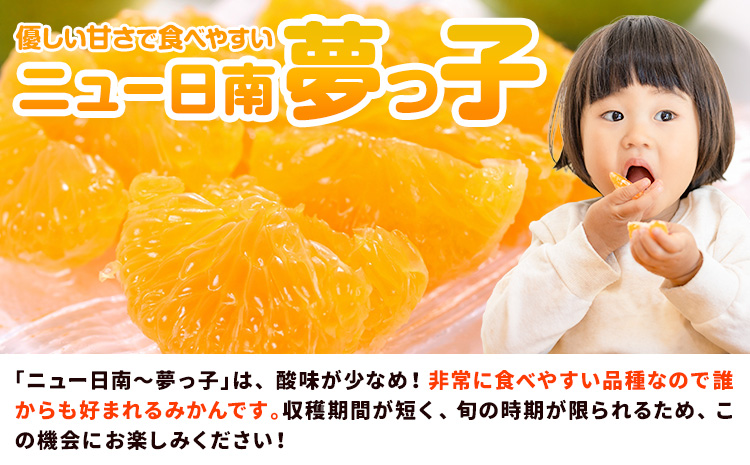 【先行予約】果物 フルーツ みかん 極早生みかん ニュー日南「夢っ子」 約5kg 都呂々みかん生産者グループ《2025年9月中旬-10月上旬頃出荷》 ミカン 蜜柑 柑橘 生産者直送 産地直送 天草 送料無料 熊本県 苓北町【配送不可地域あり】---reihoku_trm_5_5kg---