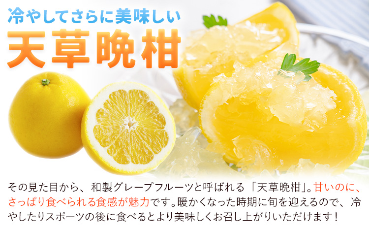 【先行予約】訳あり ご家庭用 柑橘 天草晩柑 約4㎏ あまくさ晩柑 晩柑 ばんかん 天草 西海岸 苓北 都呂々 南国 潮風 国産 九州 熊本 果物 フルーツ 送料無料 都呂々みかん生産者グループ《2026年3月上旬-5月下旬頃出荷》---reihoku_trm_3_4kg---