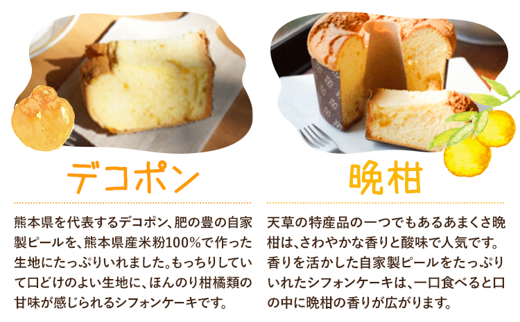 菓子 シフォンケーキ 大 2個 デコポン 晩柑 アスパラガス 加工所みかん屋さん 松本果樹園《30日以内に出荷予定(土日祝除く)》熊本県 苓北町 お菓子 シフォン ケーキ スイーツ おやつ 洋菓子 デザート 自家製 ギフト---reihoku_kmy_1_d2---