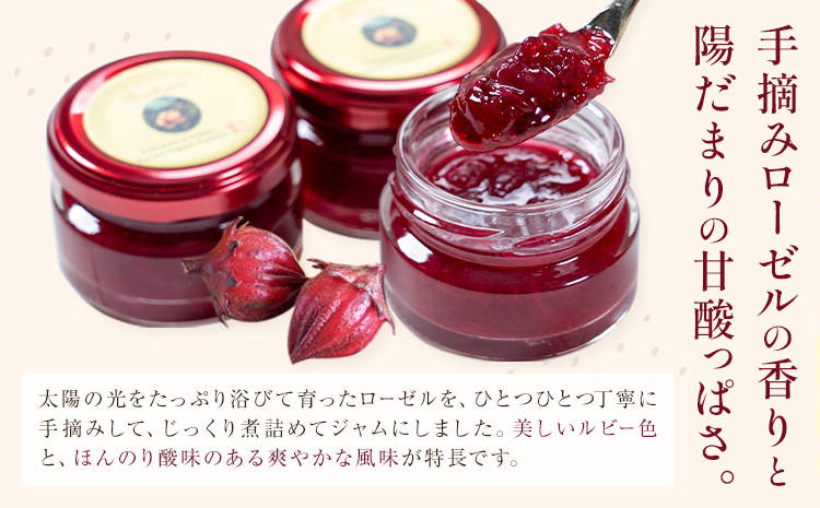 ローゼルジャムセット 40g×6個 もり農園《30日以内に出荷予定(土日祝除く)》熊本県 苓北町 ジャム ローゼル ハイビスカス セット---reihoku_mrn_2_6p---