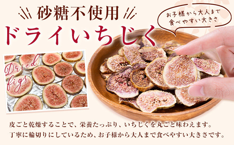 【2ヶ月定期便】天草 乾燥南蛮柿 ドライいちじく30g × 2袋 2回 いちじくドライフルーツ 乾燥 果物 南蛮柿 製菓 熊本県 苓北町 もり農園《お申し込みの翌月より出荷》---reihoku_mrn_4_mo2---