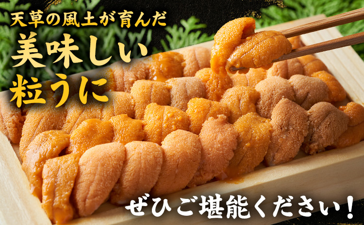 甘塩粒うに 1本（90g） 海鮮 海産物 海の幸 魚貝類 シーフード うに ウニ 雲丹 《30日以内に出荷予定(土日祝除く)》ムラサキウニ 熊本県 苓北町 天草漁業協同組合苓北支所 ---aa01r605---st-p