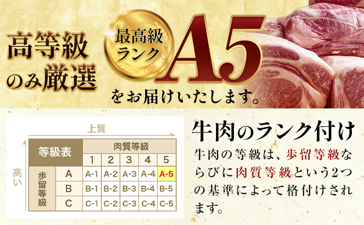 黒毛和牛 サーロイン ブロック 約3kg 田中畜産《30日以内に出荷予定(土日祝除く)》 熊本県 苓北町 A4 ～ A5 ランク 国産 肉 牛肉 ステーキ 黒牛 天草 苓北 熊本 産地直送 送料無料---reihoku_tnt_4_3kg---
