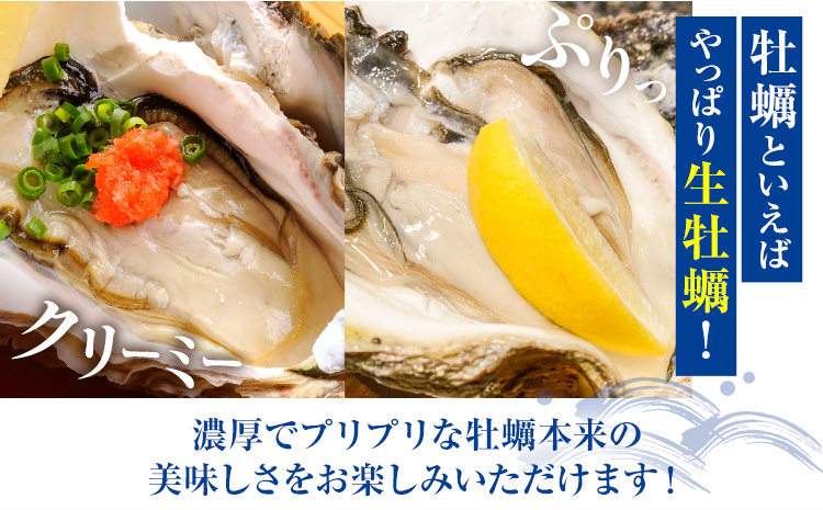 浜崎水産の天草天領岩かき 約2.5kg 《2026年4月上旬-7月末頃出荷予定》 【配送不可地域あり】 海鮮 海産物 海の幸 シーフード 魚貝類 かき 牡蠣 岩かき 岩牡蠣 夏牡蠣 生食用 生もの 濃厚 熊本県 苓北町---reihoku_hss_2_2500g---