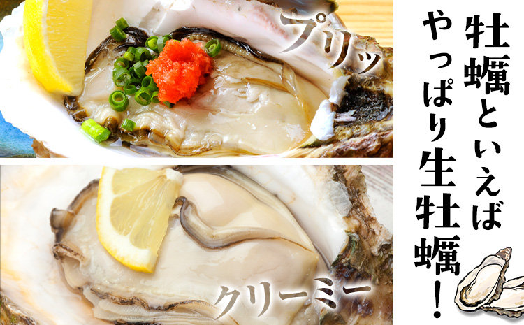 天領岩牡蠣 約1.5kg 福島水産《2026年4月上旬-7月末頃出荷予定》熊本県 苓北町 牡蠣 かき カキ 岩カキ 岩ガキ 貝 BIG ビッグ 生食 バーベキュー 夏天草 天領 苓北 熊本 旬 シーズン 送料無料【配送不可地域あり】---reihoku_hks_1_1500g---