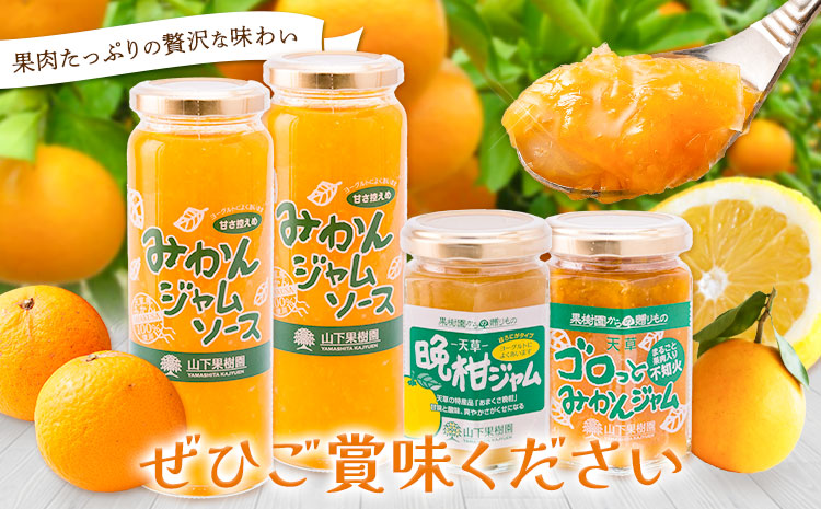 ジャム 手作り 詰め合わせ みかんジャムソース 235g×2本 天草晩柑ジャム 150g×1本 ゴロっとみかんジャム 150g×1本 計3種 計4本セット 《90日以内に出荷予定(土日祝除く)》 山下果樹園 熊本県 苓北町 送料無料 ジャム 手づくり みかん 柑橘---reihoku_ysk_2_set---