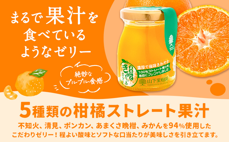 まるごとぎゅーっとゼリー 100g × 8本 | 《90日以内に出荷予定(土日祝除く)》 フルーツ 果物 くだもの ゼリー フルーツゼリー 果物ゼリー くだものゼリー みかんゼリー ミカンゼリー みかん ミカン 不知火 清見 ポンカン あまくさ晩柑 みかん ブレンド 熊本県 苓北町 株式会社 山下果樹園---reihoku_ysk_1_800g---