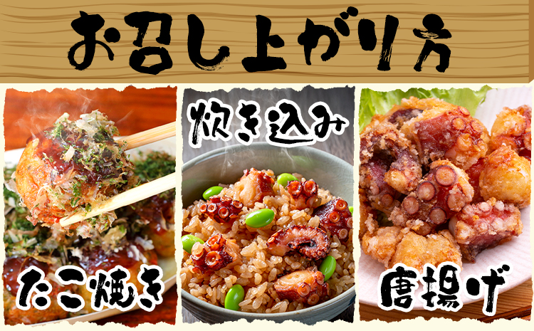 天草産 タコ ボイルカット 合計500g 高橋商店《30日以内に出荷予定(土日祝除く)》タコ 蛸 冷凍 カット済 小分けパック ボイル お刺身 たこ飯 たこ焼き ぶたあえ タコパ 唐揚げ 酢の物 国産 天草 苓北 熊本 送料無料【配送不可地域あり】---j01r605---