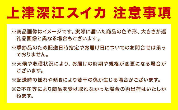 【先行予約】天草産上津深江 スイカ 1玉 髙橋商店 《2026年6月末-8月中旬頃出荷》熊本県 苓北町 フルーツ 果物 くだもの スイカ すいか 西瓜 盆すいか 上津深江スイカ---reihoku_ths_13_1p---