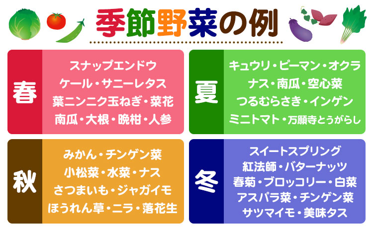 野菜 果物 詰め合わせ 自然栽培 福田果樹園 旬 セット 天草 苓北 熊本 送料無料《90日以内に出荷予定(土日祝除く)》熊本県 苓北町 ---t01r605---