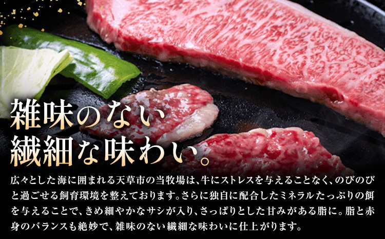 黒毛和牛 焼肉 ロース カルビ 切り落とし 1kg A4 ～ A5 ランク 6ヶ月定期便 田中畜産《お申込み月の翌月から出荷開始》ランプ ミスジ イチボ 特上 ミシュラン 国産 肉 牛肉 黒牛 天草 苓北 熊本 産地直送 送料無料---ac04r605-6---