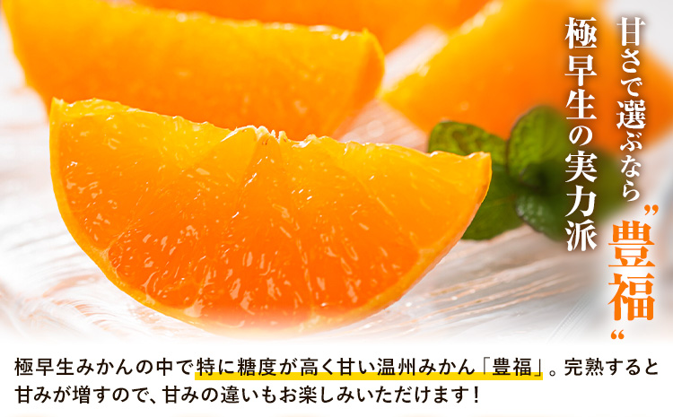 【先行予約】果物 フルーツ みかん 極早生みかん 豊福 約5kg 都呂々みかん生産者グループ《2025年10月中旬-11月下旬頃出荷》 ミカン 蜜柑 柑橘 生産者直送 産地直送 天草 苓北 送料無料 熊本県【配送不可地域あり】---reihoku_trm_9_5kg---