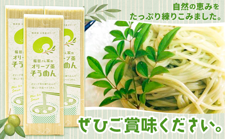 オリーブ 茶 そうめん 3袋 セット 福田さん家のオリーブ園。《30日以内に出荷予定(土日祝除く)》手延べ 麺  農薬 不使用 乳酸菌 天草 苓北 熊本 送料無料 ---reihoku_hdo_4_3p---