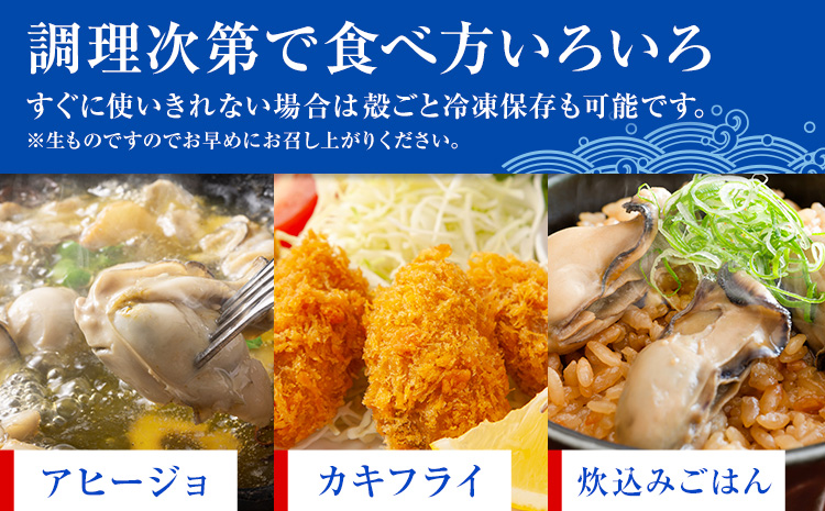 先行予約 ふるさと納税総合ランキング入賞 牡蠣 カキ 天草天領 岩かき 特大 定期便 約 1.5kg 2回《2026年5月から出荷》海鮮 海産物 シーフード 魚貝類 かき 岩牡蠣 夏牡蠣 生食用 熊本県 苓北町 浜崎水産【配送不可地域あり】 ---reihoku_hss_4_1500gmo2---