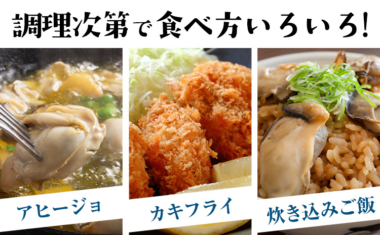 天領岩牡蠣 約2.5kg 2回 定期便 福島水産《2026年5月から出荷》熊本県 苓北町 牡蠣 かき カキ 岩カキ 岩ガキ 貝 BIG ビッグ 生食 バーベキュー 夏天草 天領 苓北 熊本 旬 シーズン 送料無料【配送不可地域あり】 ---reihoku_hks_5_2500gmo2---