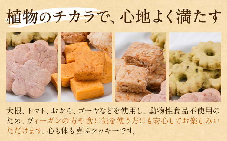 苓北 ヴィーガンクッキー 5袋 セット 洋菓子店Hana《30日以内に出荷予定(土日祝除く)》 熊本県 苓北町 送料無料 菓子 クッキー 卵 乳製品不使用 天草 熊本 送料無料 ビーガン---reihoku_yhn_1_5syu---