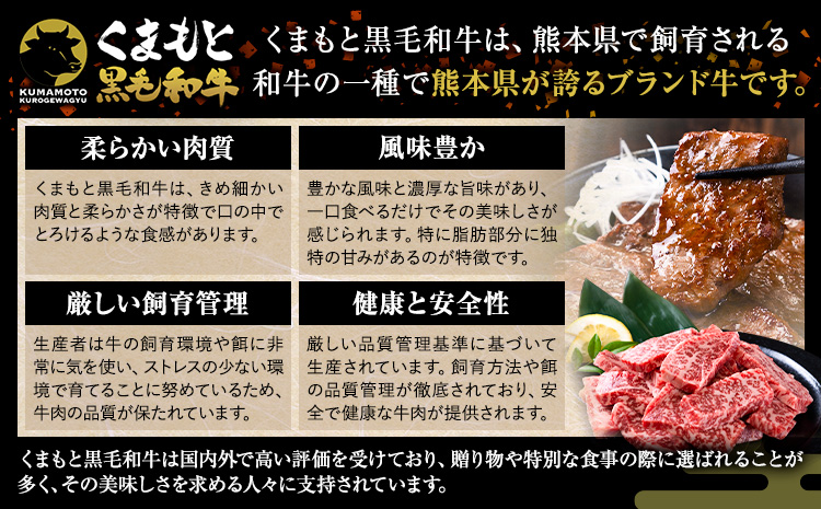 A4-A5等級 黒毛和牛 切り落とし 上 ロース 焼肉 切り落とし 900g《30日以内に出荷予定(土日祝除く)》くまもと黒毛和牛 熊本県 苓北町 上ロース 焼肉用 黒毛和牛 焼肉 肉 お肉 和牛 A5 A4 リブロース サーロイン---reihoku_loc_13_900g---