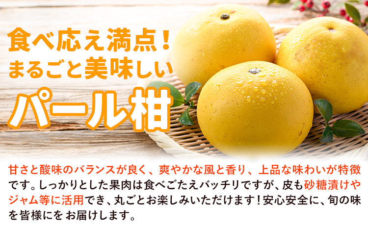 【先行予約】訳あり パール柑 約4kg 都呂々みかん生産者グループ《2026年3月上旬-4月中旬頃出荷予定》熊本県 苓北町 みかん 果物 フルーツ---reihoku_trm_19_4kg---