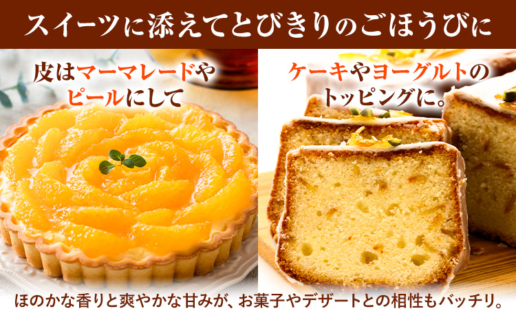 先行予約 みかん 不知火 3kg 高橋商店《2026年1月下旬-5月中旬頃出荷》熊本県 苓北町 柑橘 かんきつ 果物 フルーツ しらぬい 送料無料---reihoku_ths_14_3kg---