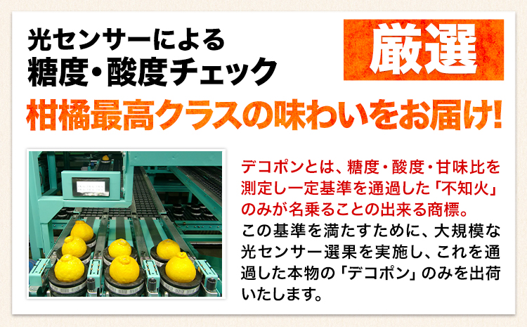 【先行予約】デコポン ご家庭用 デコポン 約2kg 前後 (約4-10玉前後) 糖度13度以上 訳あり デコポン 《2026年2月上旬-4月末頃出荷》 個別光センサー選果 みかん 柑橘 フルーツ 旬 不知火 でこぽん 期間限定 厳選---reihoku_loc_14_2kg---