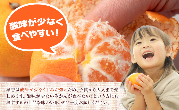 みかん 早香 5kg 髙橋商店《11月下旬-1月中旬頃出荷》熊本県 苓北町 柑橘 かんきつ 果物 フルーツ ポンカン 温州みかん 蜜柑---reihoku_ths_5_5kg---