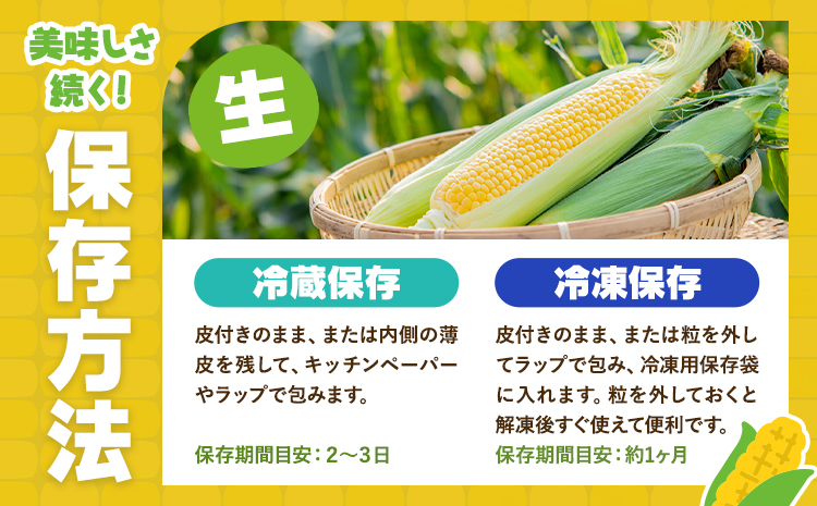 とうもろこし スイートコーン 10本 髙橋商店《2026年5月中旬-6月下旬頃出荷》熊本県 苓北町 野菜 コーン 玉蜀黍 コーンバター 焼きとうもろこし コーンスープ---reihoku_ths_6_10p---