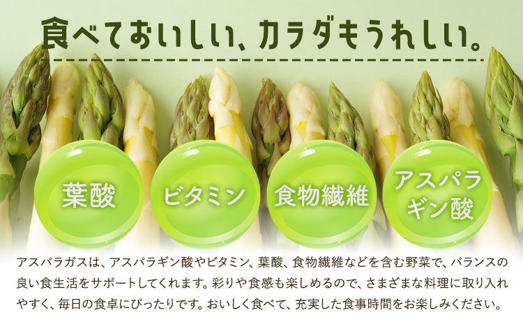アスパラガス グリーン 夏アスパラ 1束 100g 10束 髙橋商店《6月上旬-8月上旬》熊本県 苓北町 野菜 アスパラ アスパラベーコン---reihoku_ths_10_10psyuka6_8---