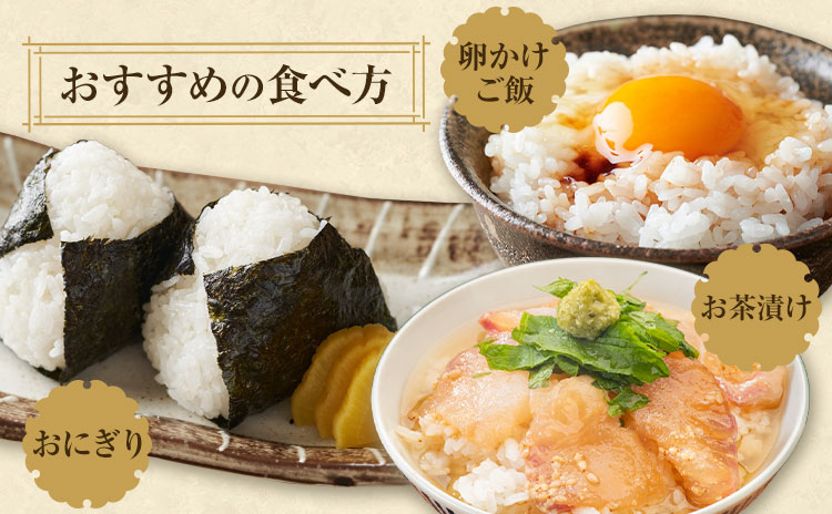 令和7年産 米 くまさんの輝き 白米 5kg 鶴地区龍の里ふるさと会《10月上旬-11月上旬頃出荷》熊本県 天草 苓北町 鶴 地区 龍 の里 国産 九州 熊本 名水 百選 5キロ 10キロ 送料無料---reihoku_trs_1_5kg---