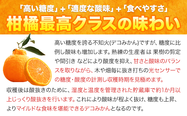 不知火 デコみかん ( デコポン と同品種 ) ご家庭用 訳あり 熊本県産 ( 苓北町産含む )約1.2kg(3-6玉前後) 柑橘 《2026年2月上旬-3月末頃出荷》 みかん フルーツ 不知火 訳アリ でこみかん 果物---reihoku_loc_216_1200g---