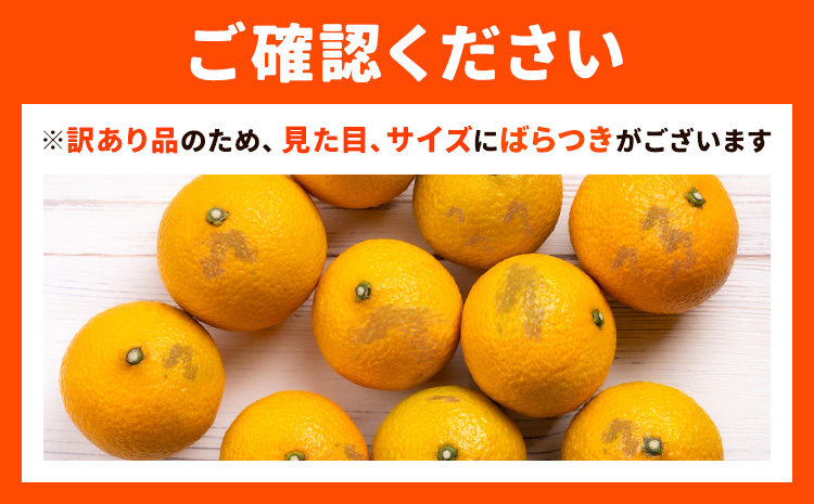 【先行予約】訳あり ご家庭用 スイートスプリング 約5kg 柑橘 かんきつ 果物 フルーツ 品種 生産者直送 産地直送 南国 潮風 天草 西海岸 苓北 都呂々 国産 九州 熊本県 送料無料《2025年12月上旬-2026年1月下旬頃出荷》---reihoku_trm_15_5kg---