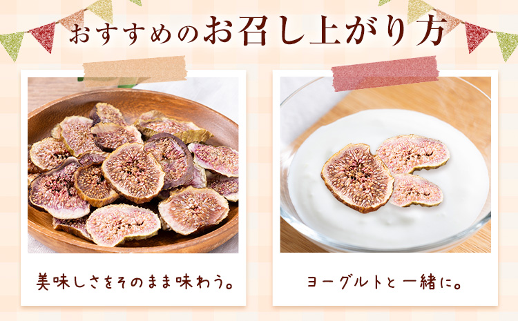 【2ヶ月定期便】天草 乾燥南蛮柿 ドライいちじく30g × 2袋 2回 いちじくドライフルーツ 乾燥 果物 南蛮柿 製菓 熊本県 苓北町 もり農園《お申し込みの翌月より出荷》---reihoku_mrn_4_mo2---