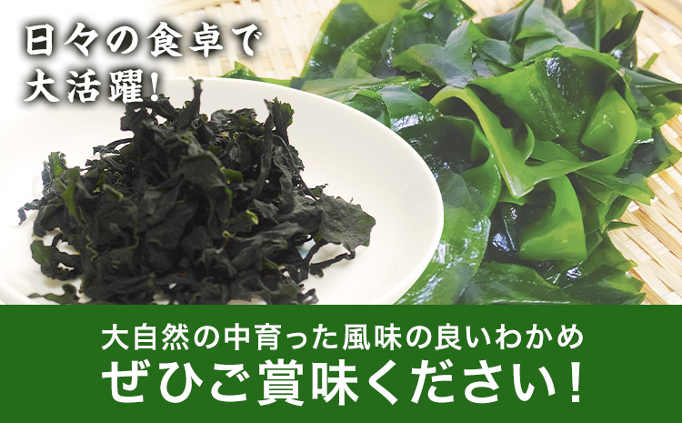 海藻 わかめ 乾燥わかめ カットわかめ30g×5パック 有限会社 黒瀬海産《90日以内に出荷予定(土日祝除く)》みそ汁 若芽 和布 若布 海産物 天草 苓北 熊本 送料無料---reihoku_ksk_1_150g---