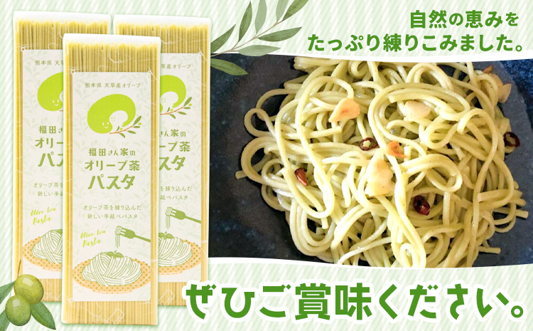 オリーブ 茶 パスタ 3袋 セット 福田さん家のオリーブ園。《30日以内に出荷予定(土日祝除く)》手延べ 麺  冷麺 サラスパ 茹で 塩 不要 乳酸菌 天草 苓北 熊本 送料無料 ---reihoku_hdo_3_3p---